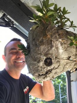 Image for Mission Exterminating with ID of: 2807352