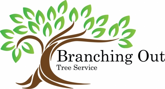 Image for Branching Out Tree Service with ID of: 2811515