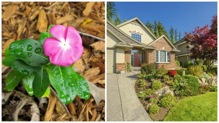 Dr Landscape And Sprinklers Llc In, Landscaping Companies Meridian Idaho