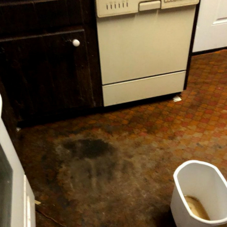 Image for Water Damage Restoration with ID of: 2812828