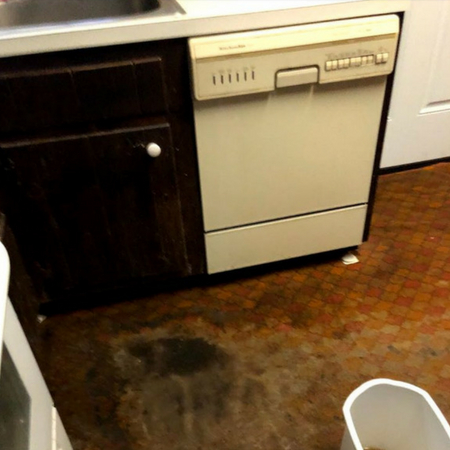 Image for Water Damage Restoration Inc with ID of: 2813001