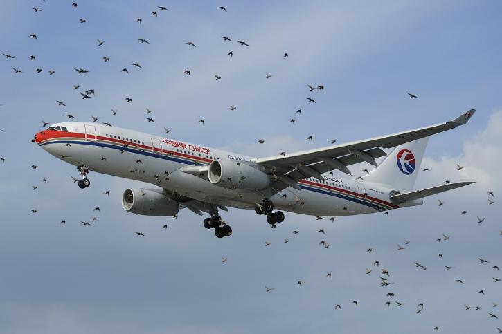 Image for Airborne Collision Avoidance System Market worth $797.1 Million by 2022 with ID of: 2815132