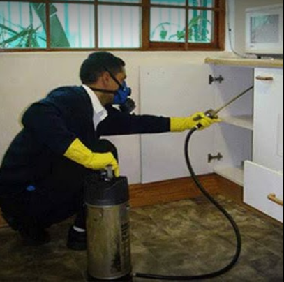 Image for Pest Control Cobble Hill with ID of: 2817624