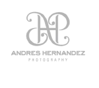 Image for Andres Hernandez Studio, Inc with ID of: 2818821