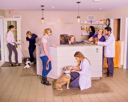 Image for Hebron Veterinary Hospital with ID of: 2819256
