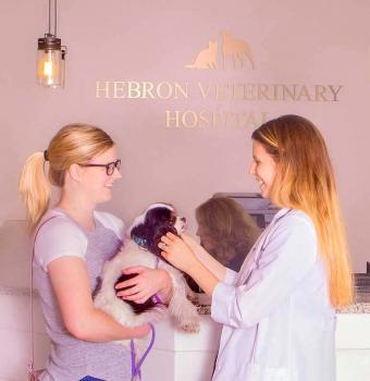 Image for Hebron Veterinary Hospital with ID of: 2819258