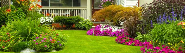 Image for JB's Lawn Care Services with ID of: 2820136