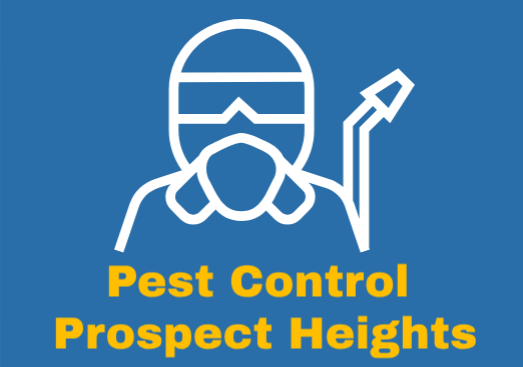 Image for Pest Control Prospect Heights with ID of: 2820381