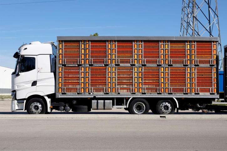 Image for Hopf Trucking LLC with ID of: 2821993