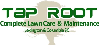 Image for Taproot Lawn Maintenance with ID of: 2822279