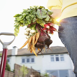 Image for Body Karma Health with ID of: 2823715