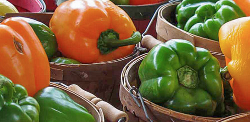 Image for Daily Agriculture with ID of: 2823859