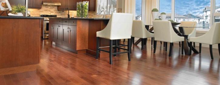 Image for Orange Cat Flooring with ID of: 2823914