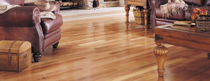 Image for Orange Cat Flooring with ID of: 2823915