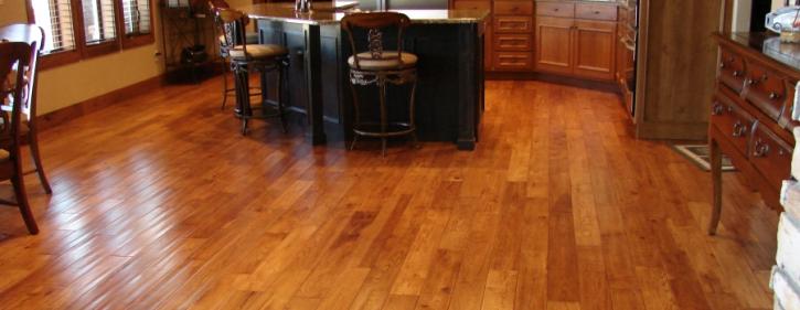 Image for Orange Cat Flooring with ID of: 2823917