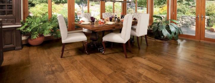 Image for Orange Cat Flooring with ID of: 2823921