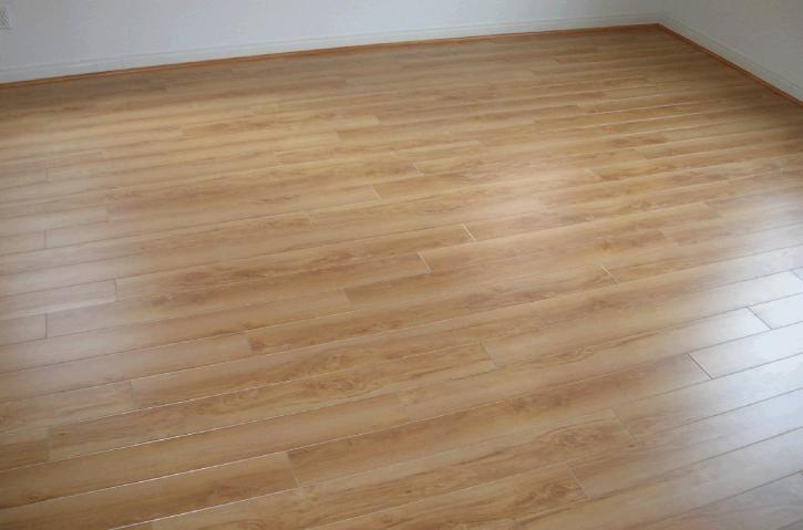 Image for Orange Cat Flooring with ID of: 2823923
