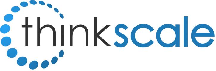 Image for Think Scale Consulting with ID of: 2824687