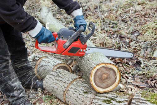 Image for J & C Tree Experts with ID of: 2827125