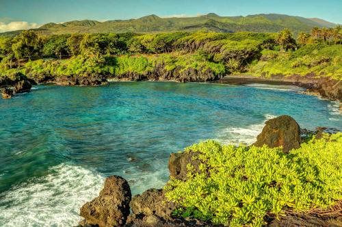 Image for Valley Isle Excursions with ID of: 2827275