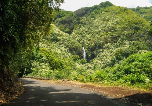 Image for Valley Isle Excursions with ID of: 2827276