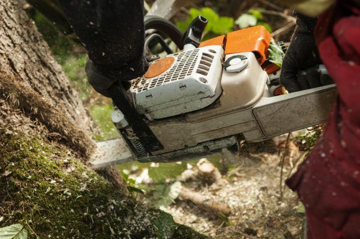 Image for J&J Tree Services with ID of: 2829206