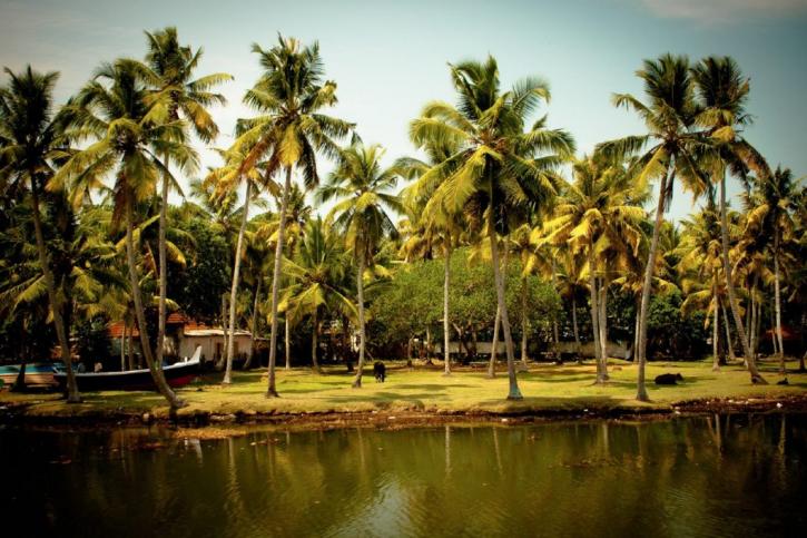 Image for ADHVAN Holidays with ID of: 2831349