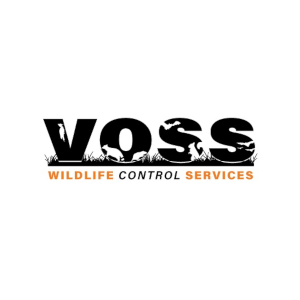 Image for Voss Wildlife Control with ID of: 2831423