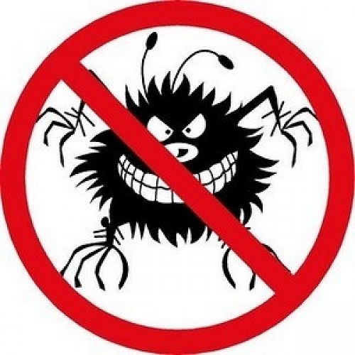 Image for OCP Bed Bug Exterminator San Jose CA - Bee Removal with ID of: 2834297