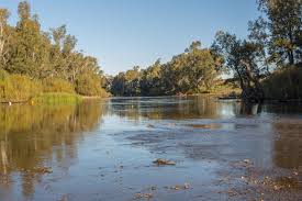 Image for Western Survey with ID of: 2836433
