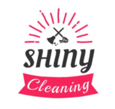 Image for Shiny Cleaning with ID of: 2837940