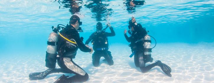 Image for Dive Indonesia with ID of: 2838411