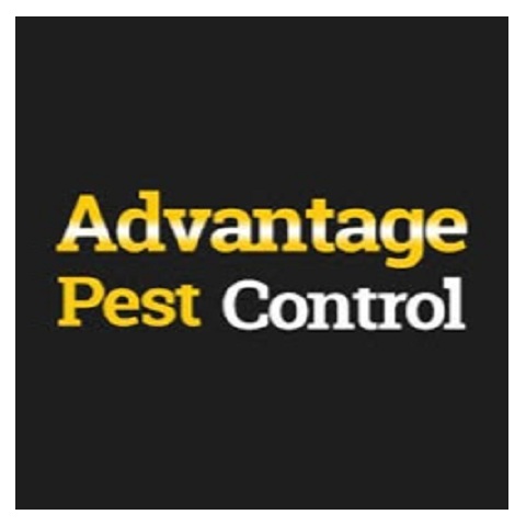 Image for Advantage Pest Control & Termite with ID of: 2838478