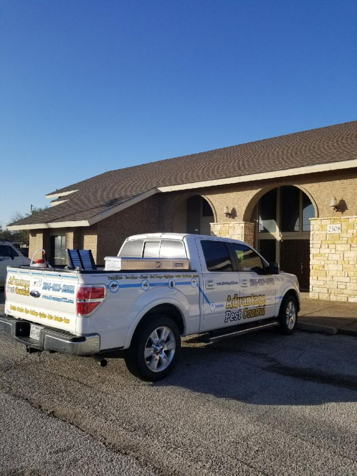 Image for Advantage Pest Control & Termite with ID of: 2839949