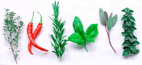 Image for Italian herbs with ID of: 2840907