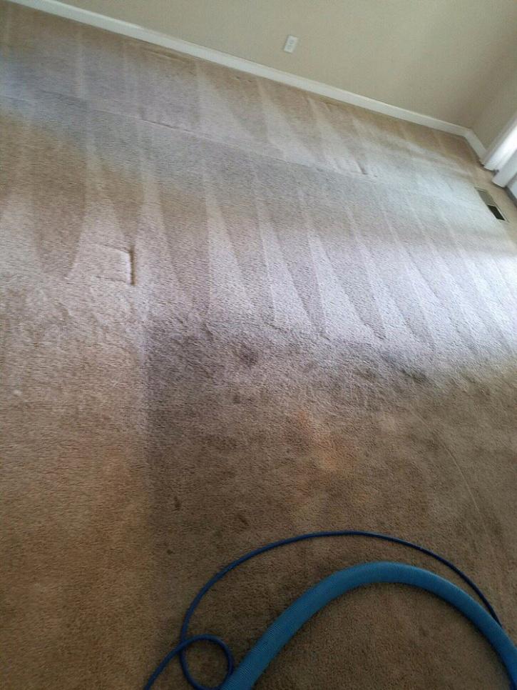 Image for AEA House and Carpet Cleaning with ID of: 2841026