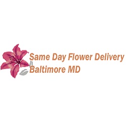 Image for Same Day Flower Delivery Baltimore MD - Send Flowers with ID of: 2841884