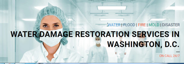 Image for Flood Doctor with ID of: 2842112