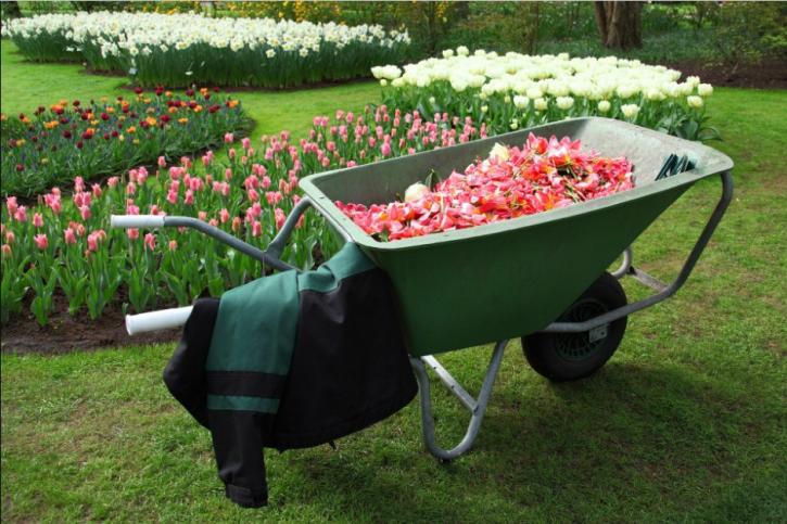 Image for Richmond Landscaping with ID of: 2842258