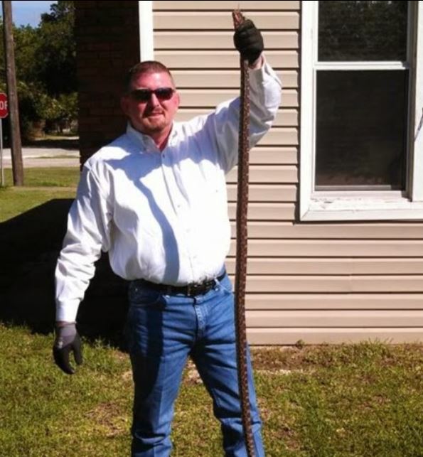 Image for Bad 2 the Bugs Pest Control Service of Waco with ID of: 2842355