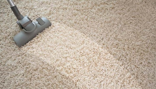 Image for Dynamic Green Carpet and Floor Cleaning with ID of: 2842644