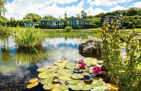 Image for Hawthorns Caravan Park with ID of: 2845651