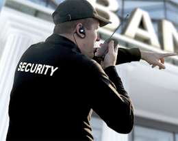 Image for Miami Security Guard with ID of: 2846514