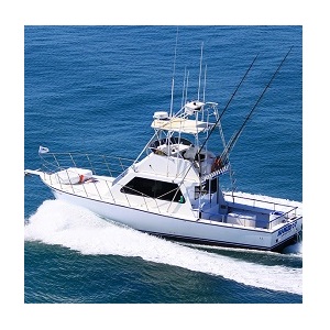 Image for Hook'em Up Charters LLC with ID of: 2847733
