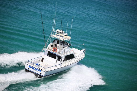 Image for Hook'em Up Charters LLC with ID of: 2847744