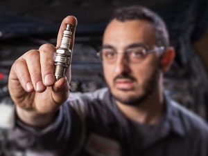 Image for Roggi's Auto Service with ID of: 2848093