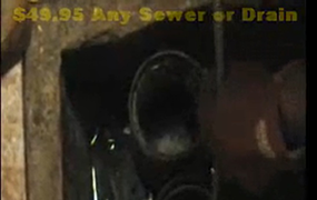 Image for 49.95 Any Sewer or Drain with ID of: 2848601