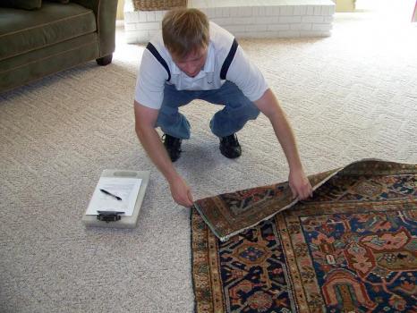 Image for Elite Carpet & Window Cleaning with ID of: 2850971