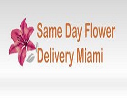 Image for Same Day Flower Delivery Miami FL - Send Flowers with ID of: 2851093