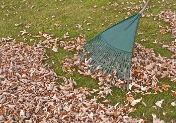 Image for Midland TX Lawns with ID of: 2851329